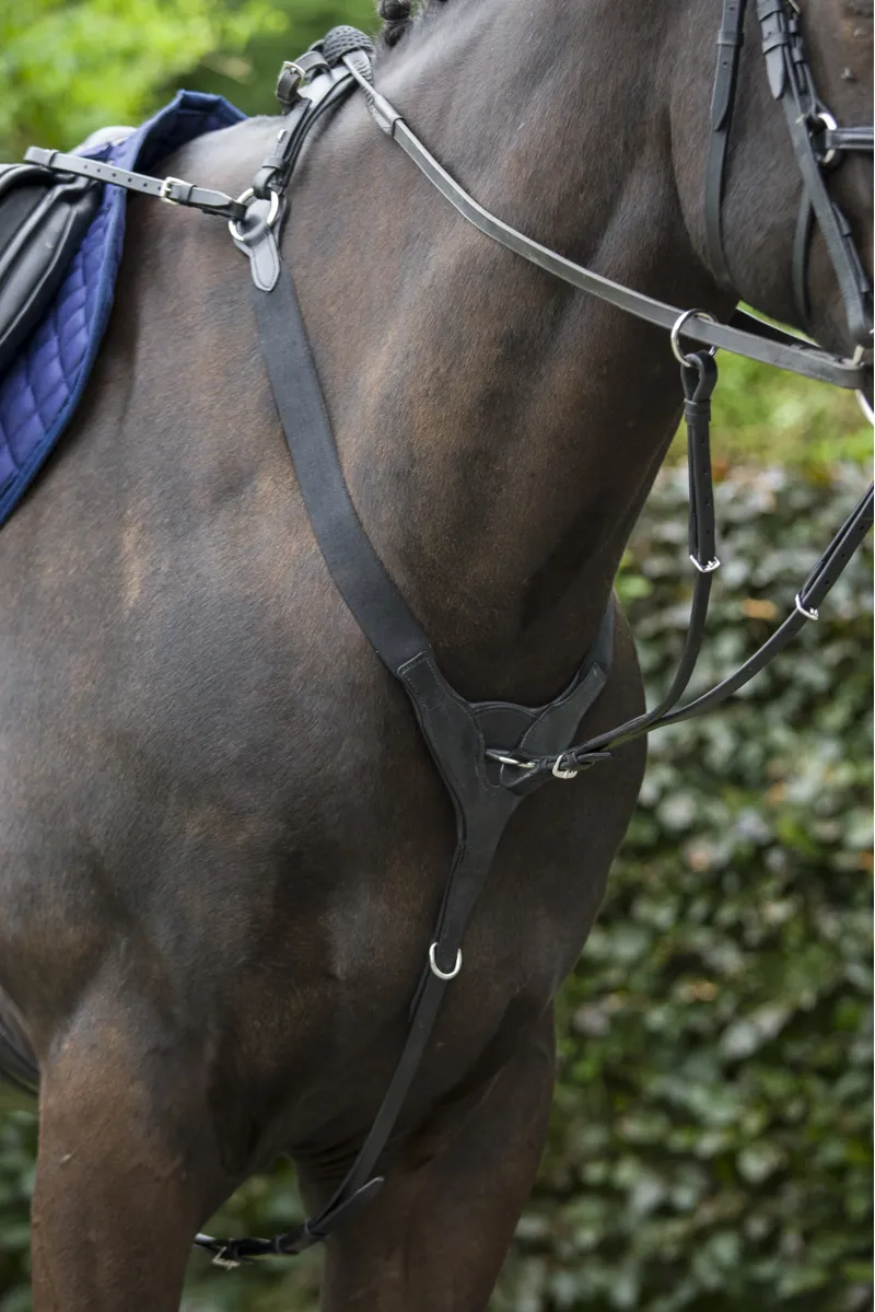 Cameo Performance Elasticated Breastplate Black-1